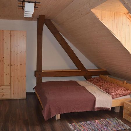 Penzion Kota 509 Janovice  エクステリア 写真