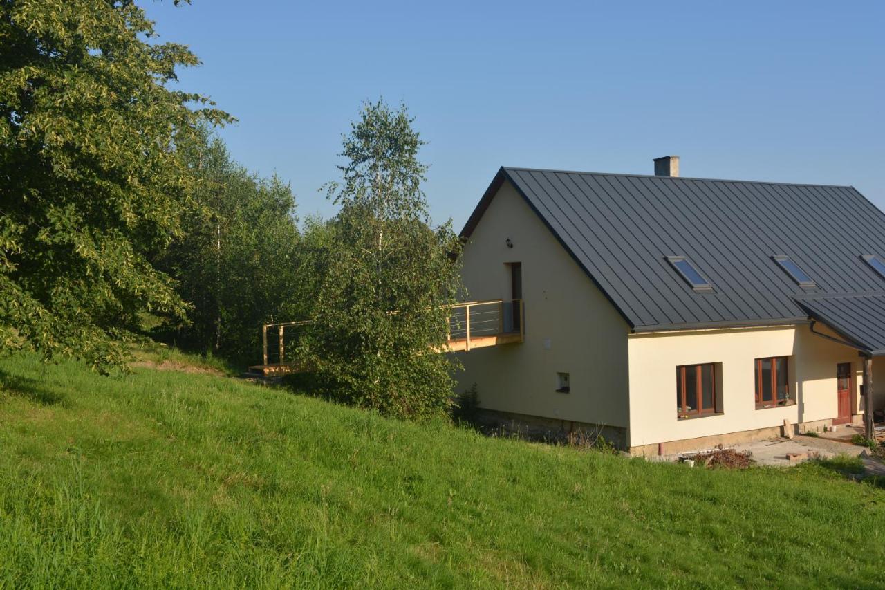 Penzion Kota 509 Janovice  エクステリア 写真